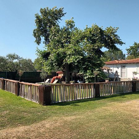 Jasmine Apartment Ormos Panagias Dış mekan fotoğraf
