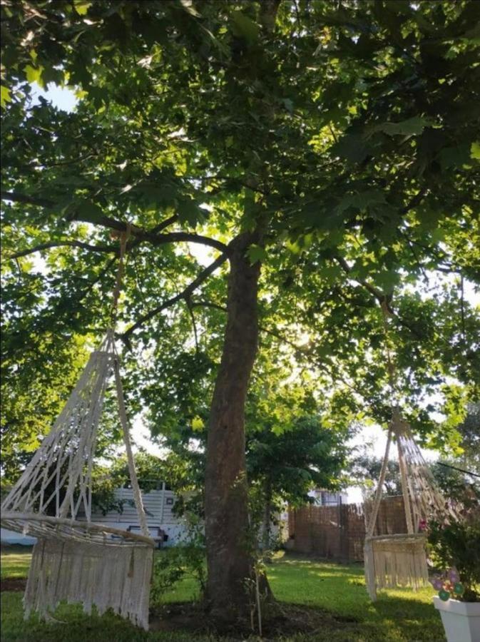 Jasmine Apartment Ormos Panagias Dış mekan fotoğraf